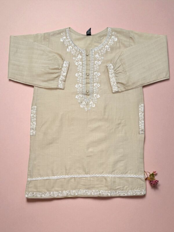 Elegant Light Beige Cotton Embroidered Top with Lace Daman