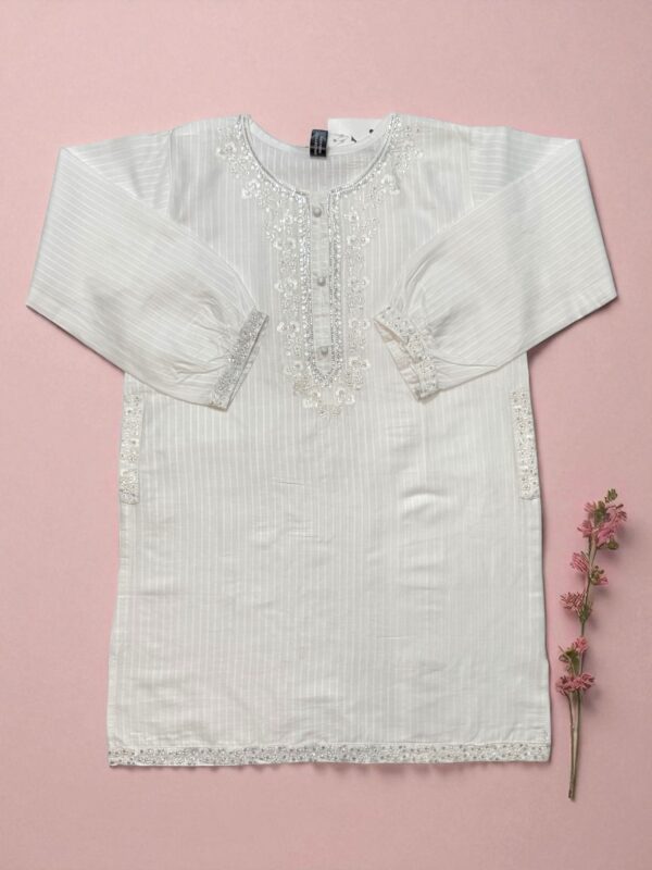 Crisp White Cotton Embroidered Top