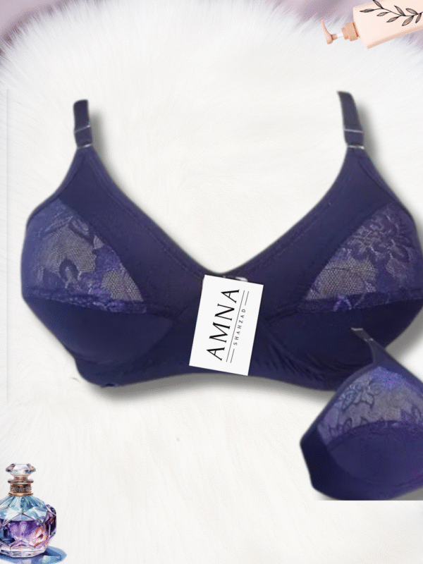 Super Fancy Net Half Cup Lycra Bra