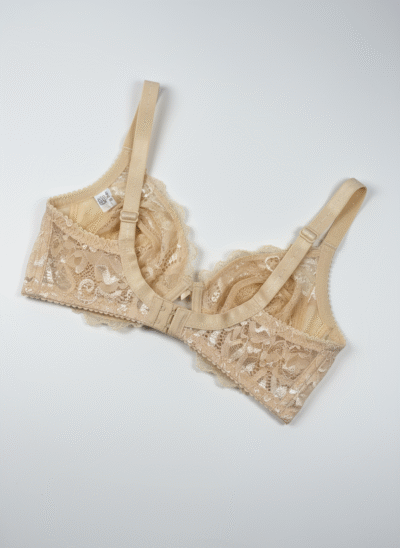 Fancy Net Padded Wired Bra Skin - Image 3