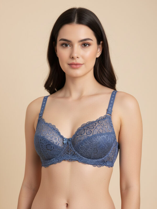 Fancy Soft Premium Net Bra Sky Blue