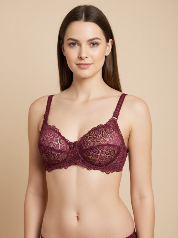 Fancy Soft Premium Net Bra Maroon